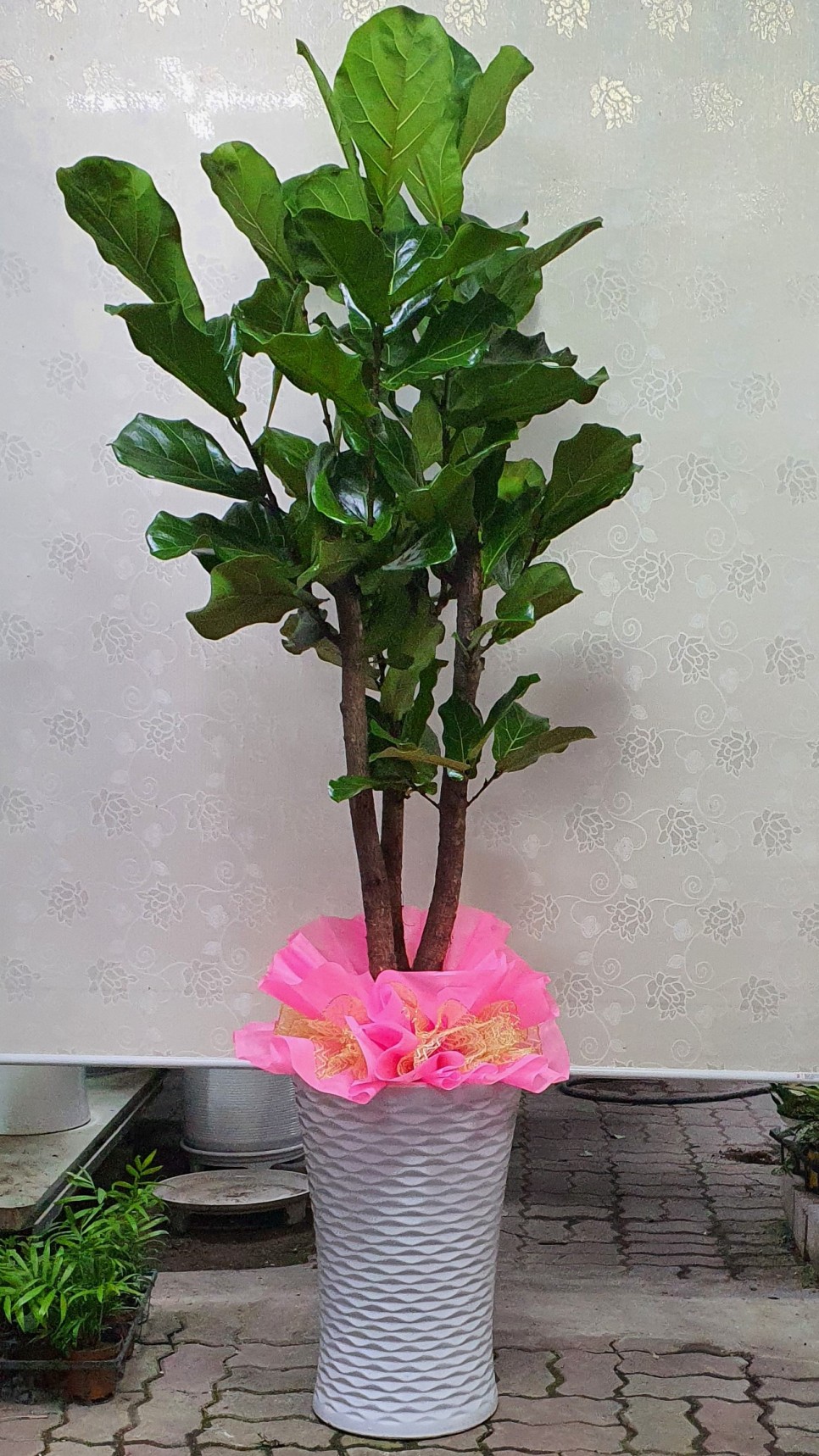 모델하우스 오픈식 3단 축하화환도 수제로 배달하는 당진채운동 꽃집 푸른화원입니다 당진꽃집 당진화분 동부센트레빌 르네블루 모델하우스 개관식에 대형화분 배달 3