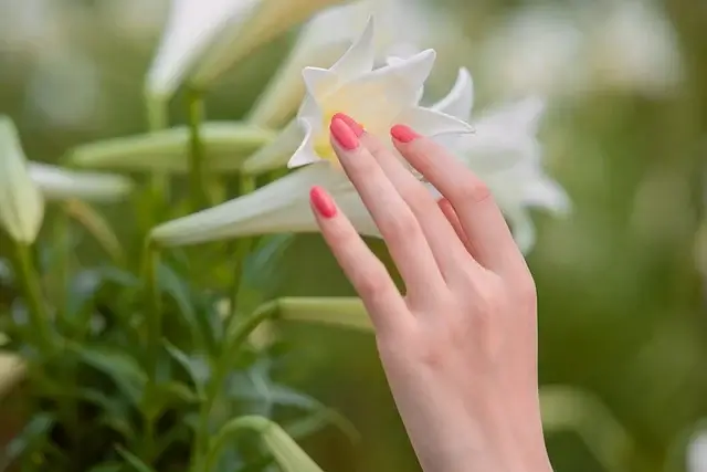 조갑주위염