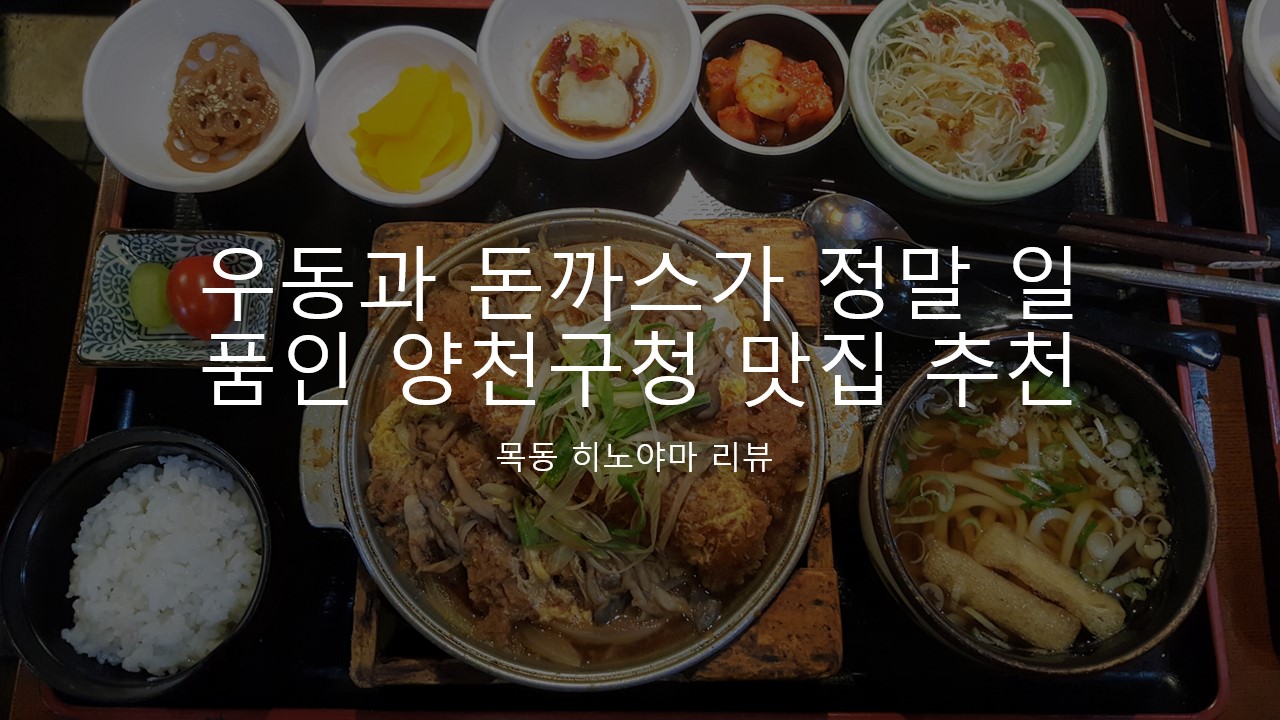  [서울 양천구 목동 맛집/ 히노야마] 우동과 돈까스가 정말 다시 방문할 정도로 일품인 양천구청 맛집 추천 재방문 리뷰, 후기