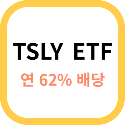 TSLY ETF 사진