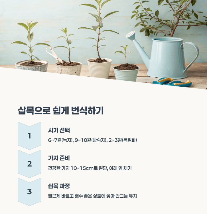 붓들레아