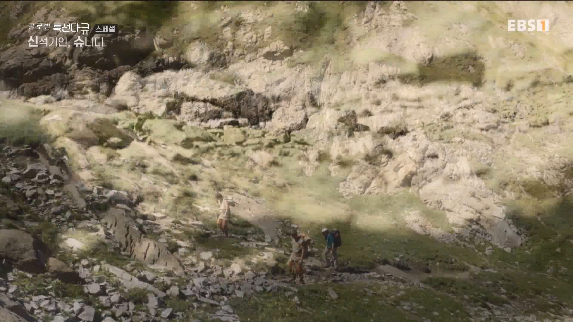 [다큐 스페셜] 신석기인, 슈니디.mp4_20230820_110536.664.jpg