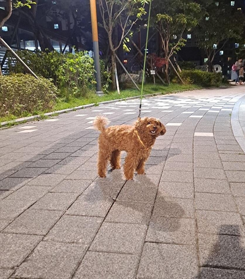  길에서 64만 유튜버 만남ㅇㅇ