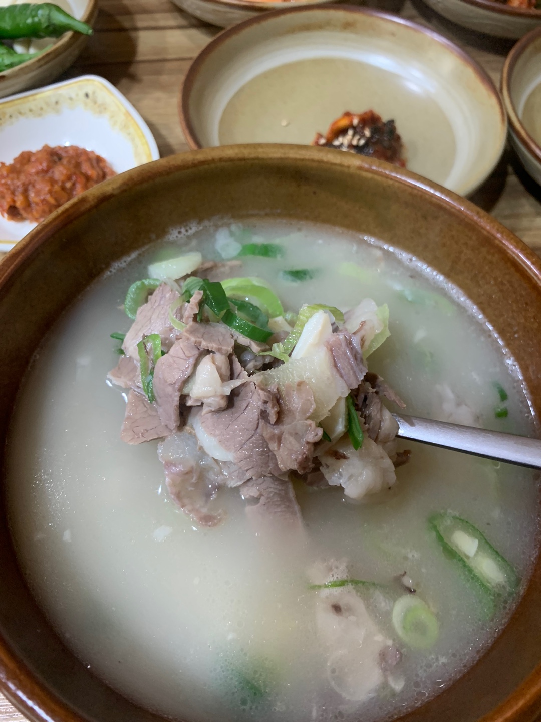 고기가 많이 들어간 대구 맛집 우미가 곰탕