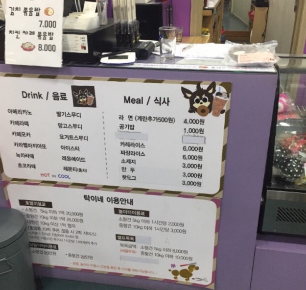 탁이네 이미지