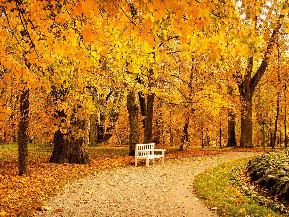 가을 풍경 사진