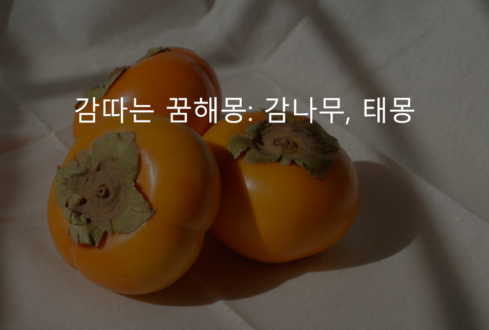 감따는 꿈해몽: 감나무, 태몽