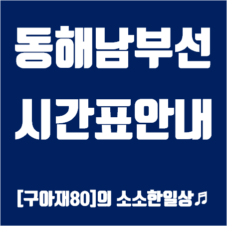 동해선 시간표안내 화면