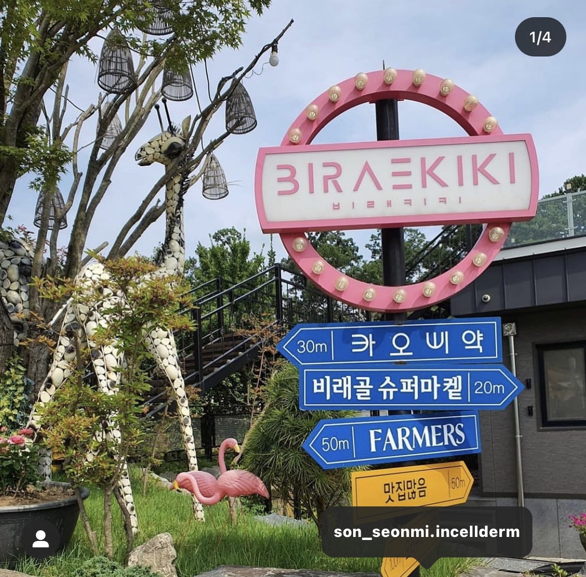 비래키키 이미지
