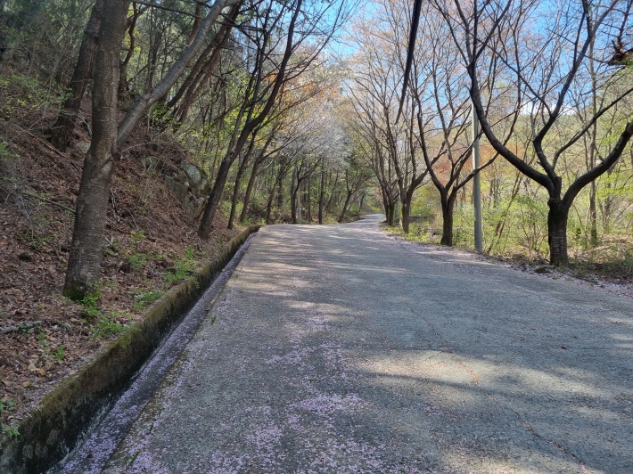 용암사-가는-길