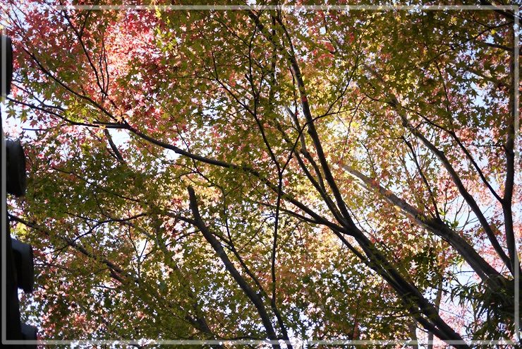 가을-단풍여행-단풍명소