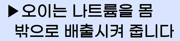  ▶오이는 나트륨을 몸 밖으로 배출시켜 줍니다