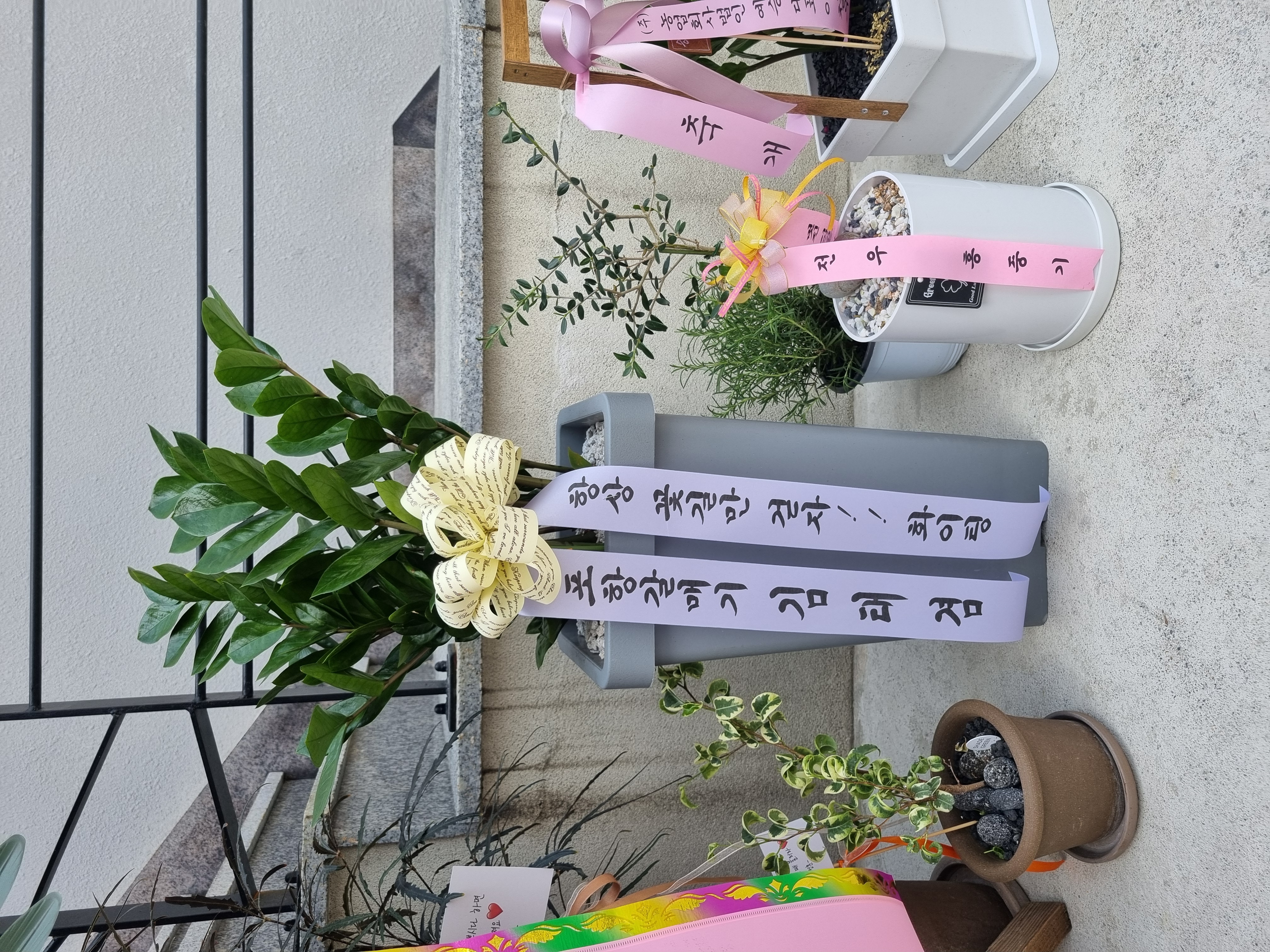 백수의 루틴, AI와 함께한 무계획의 질서 있는 하루 ^0^