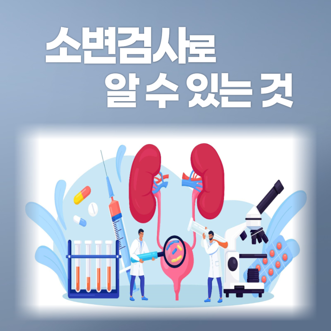 소변검사 알수있는것