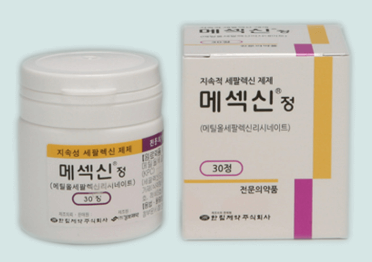메섹신정