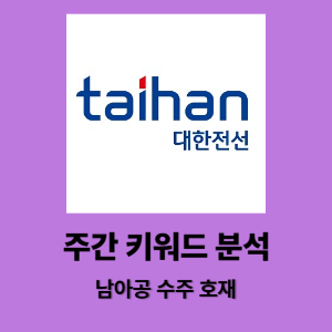 대한전선 - 남아공 수주 호재