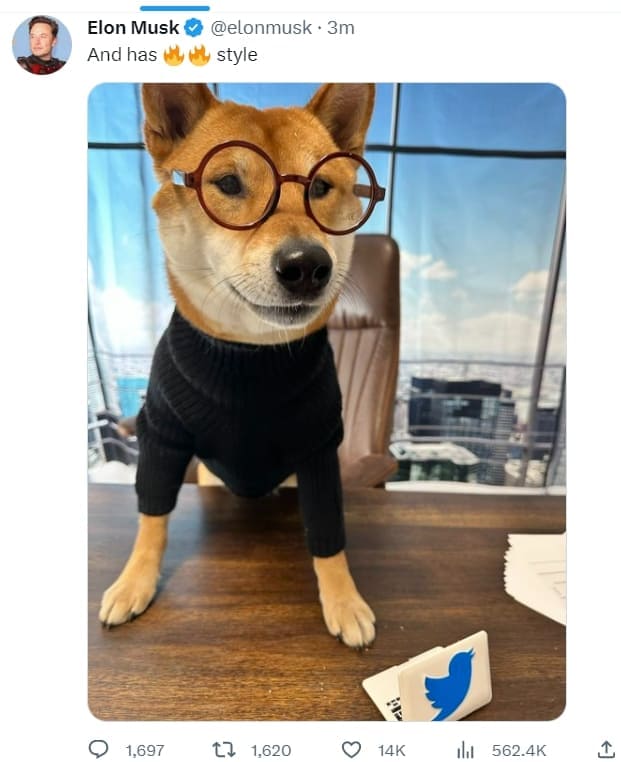  트위터의 새 CEO? The new CEO of Twitter is amazing