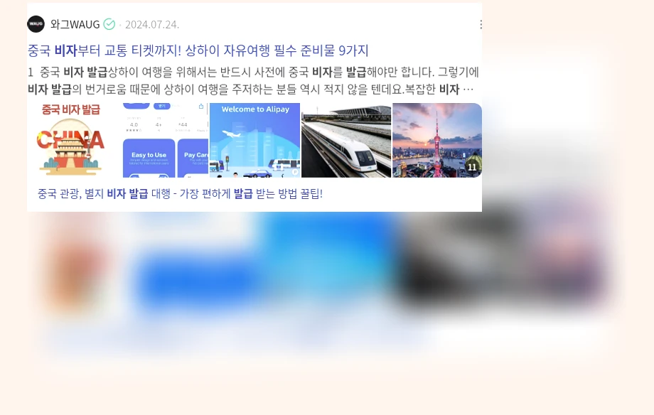 비자 발급_3_subsection