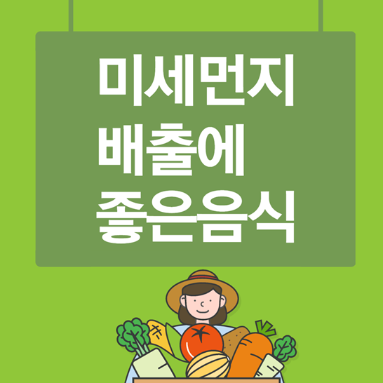 미세먼지배출에좋은음식