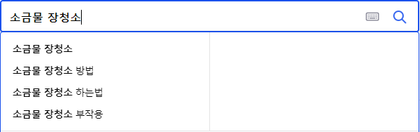 소금물 장청소 연관 검색어들