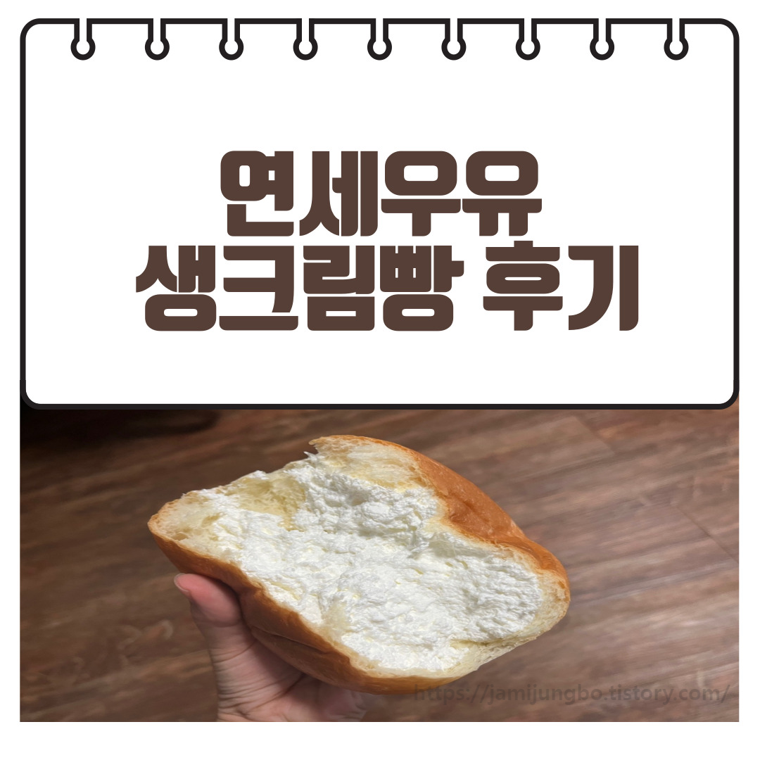 연세우유 생크림빵 후기(가격&#44;파는 곳&#44;칼로리 등)