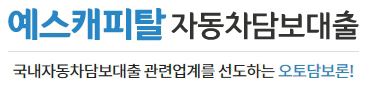  예스캐피탈 자동차 담보 대출 문의 사이트