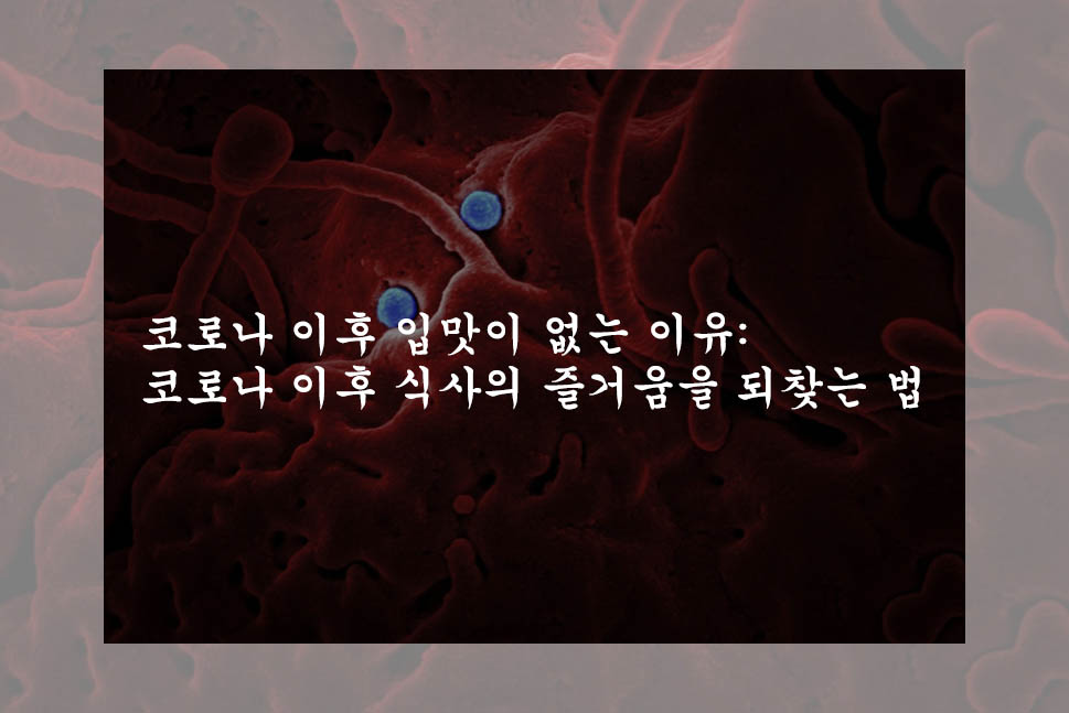  코로나 이후 입맛이 없는 이유: 코로나 이후 식사의 즐거움을 되찾는 법