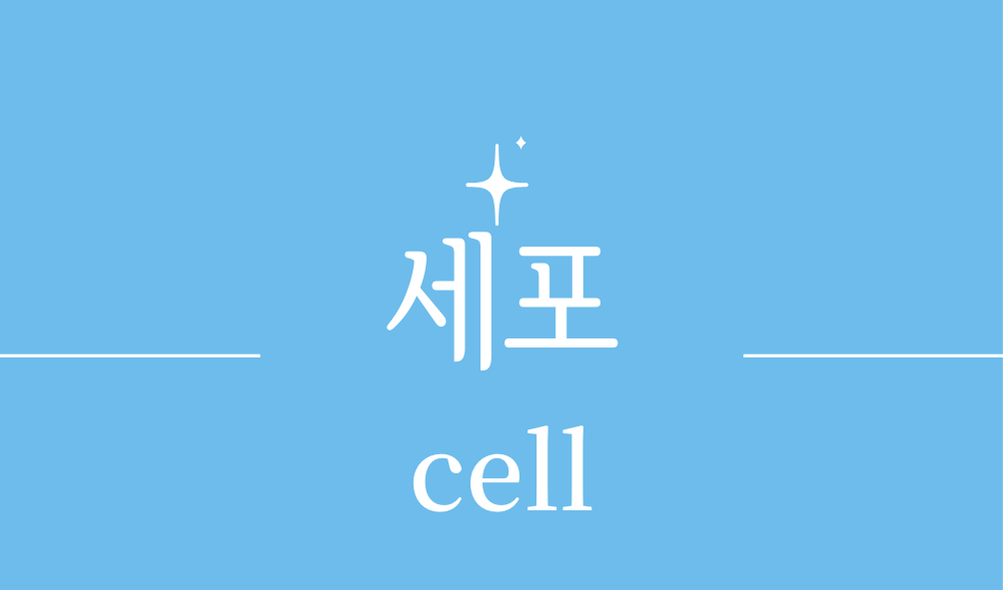 '세포(cell)'