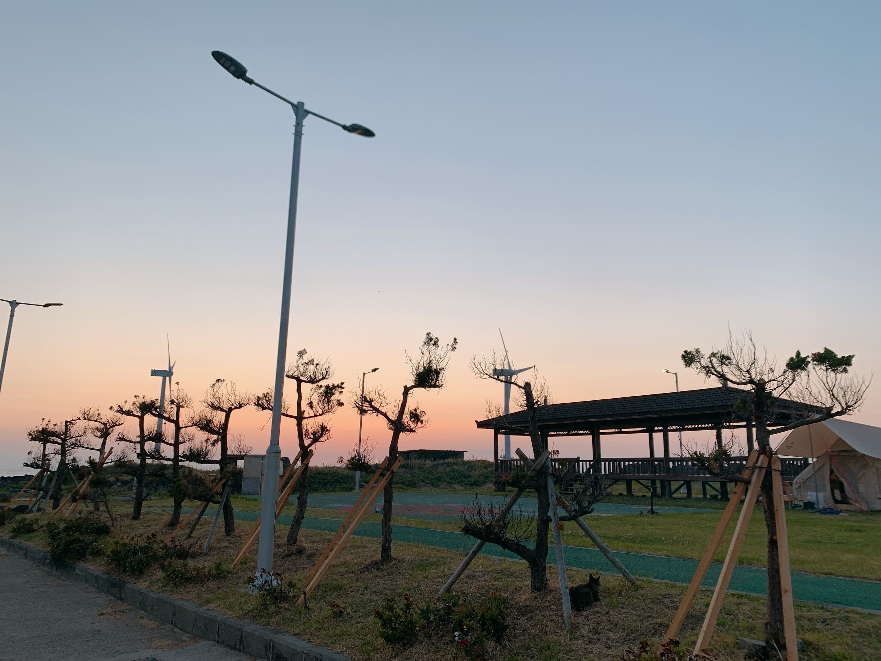 마돈가제트 근처 잔디밭 캠핑