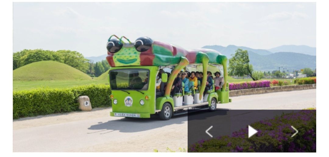  경주 비단벌레 전기자동차 이용안내 및 관람코스 명소 (소개 요금 주차장 예약방법 포토존)