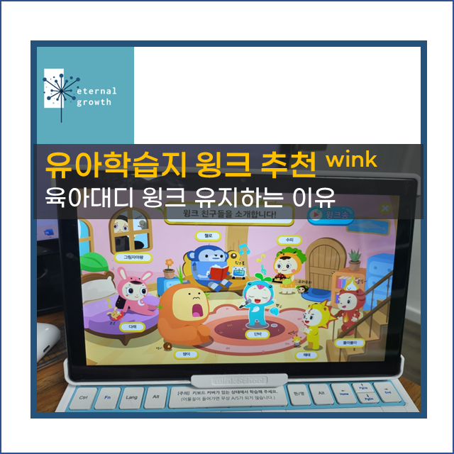 [육아대디] 시중 수많은 학습 중 윙크(Wink)를 계속 유지하는 이유