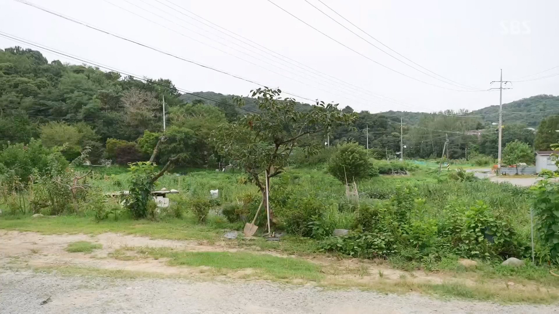 일요 특선 다큐멘터리.E319.230910p.H264-F1RST.mp4_20230918_202630.943.jpg