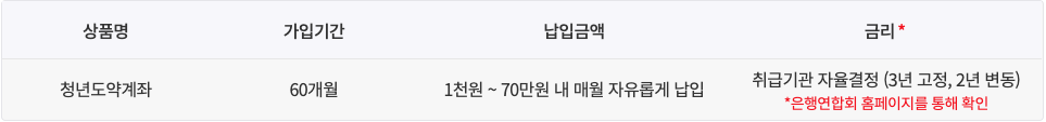  청년도약계좌, 1천원 ~ 70만원 내 매월 5년간 자유롭게 납입하는 정부기여금 상품