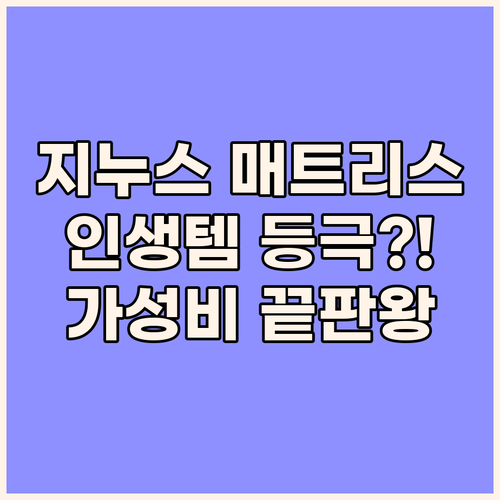 가성비 끝판왕 지누스 매트리스! 인생
