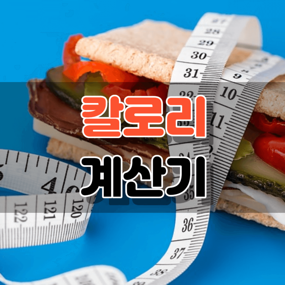 칼로리계산기