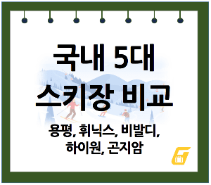 국내 5대 스키장 비교