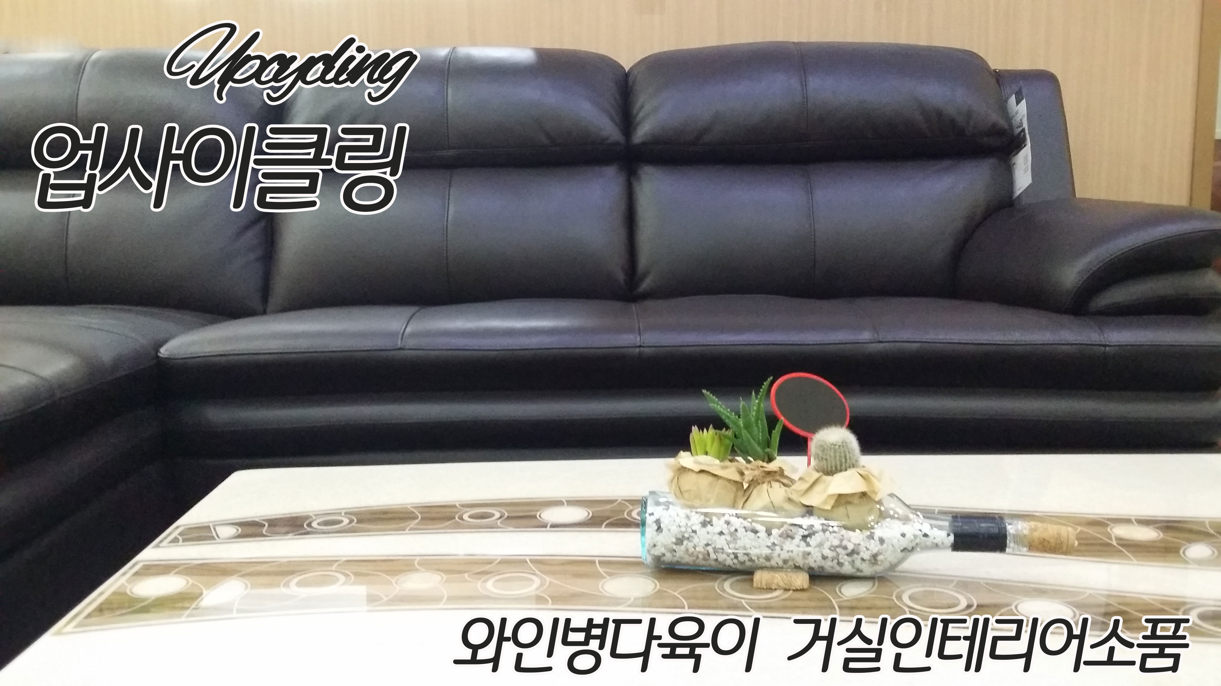  업사이클링 아이디어로 출발과 함께 가는 유니크가든 와인병다유기가드닝거실인테리어소품