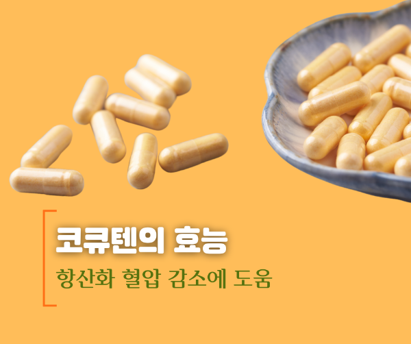 코큐텐의 효능