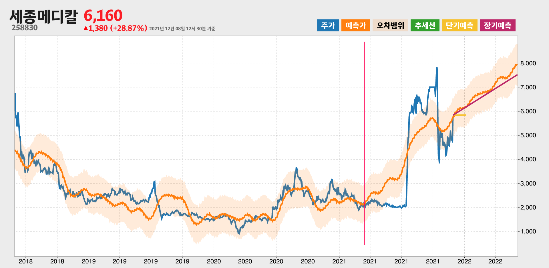 세종메디칼 예측주가