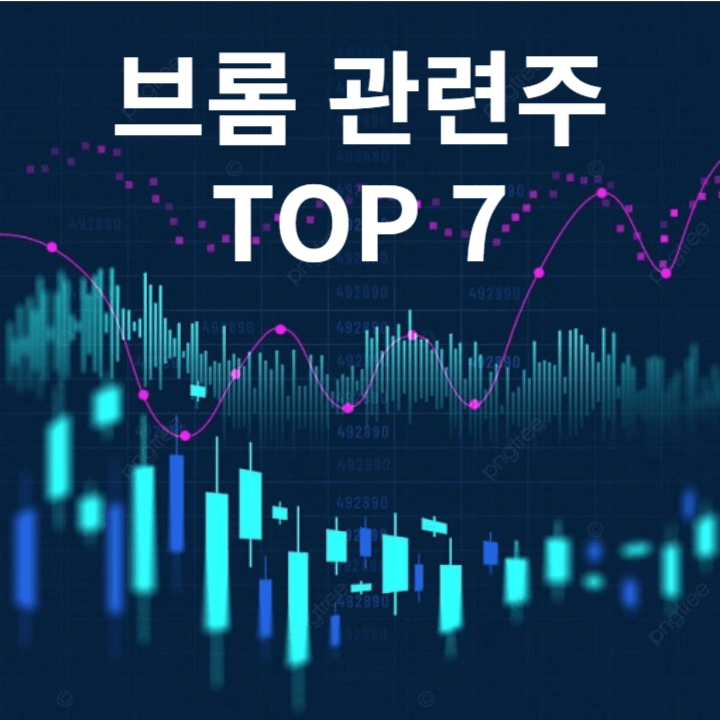 브롬 관련주 TOP 7