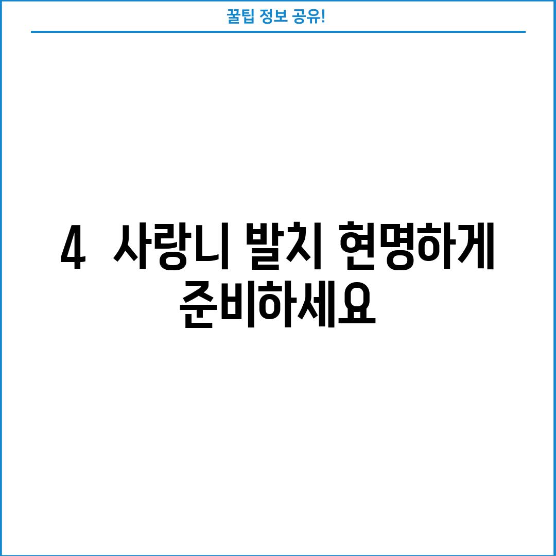 4.  사랑니 발치, 현명하게 준비하세요!