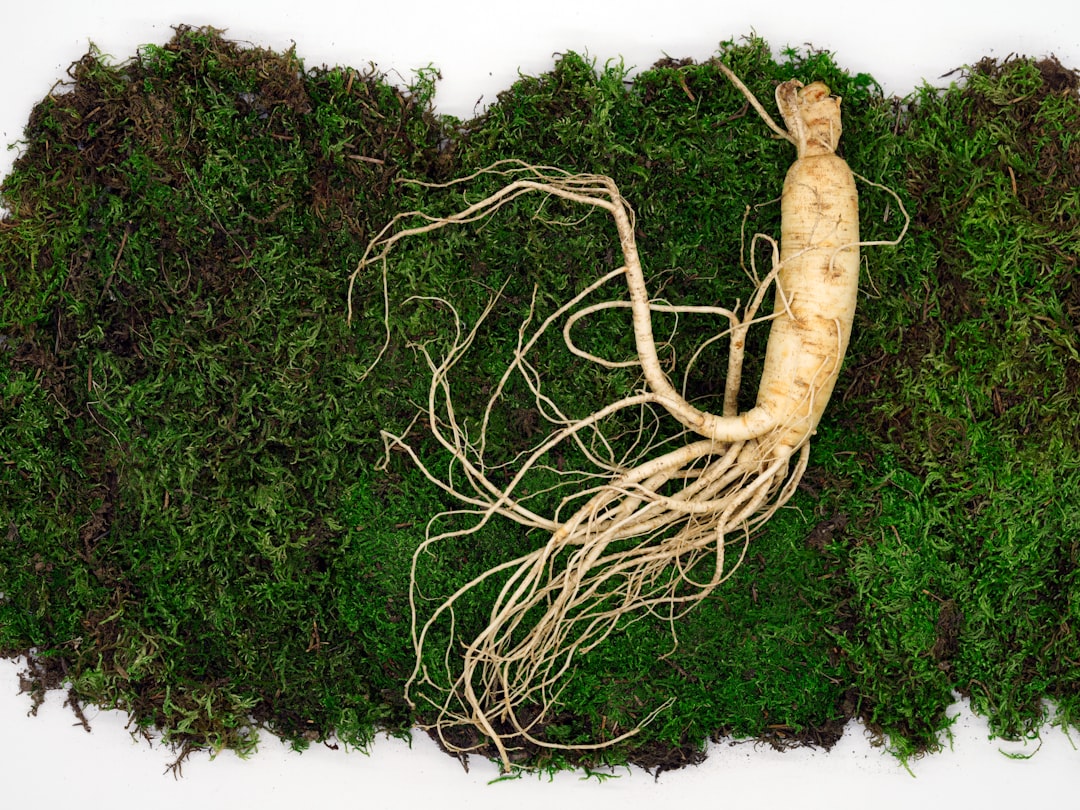 Ginseng