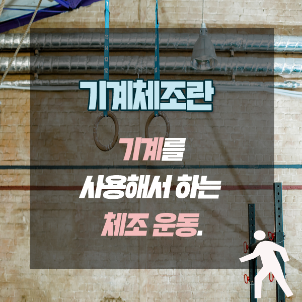 여자 기계체조 선수 기계체조 종목 2