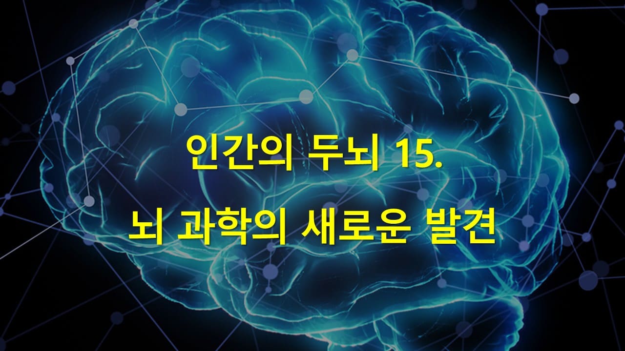 인간의 두뇌 14. 뇌 과학의 새로운 발견: 신경세포와 지능의 관계