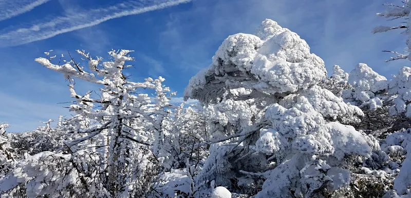 제주 한라산 설경 상고대