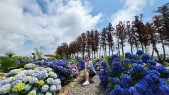 6월 제주도 아이와 함께 가볼만한곳 10곳 완벽 추천 리스트_15