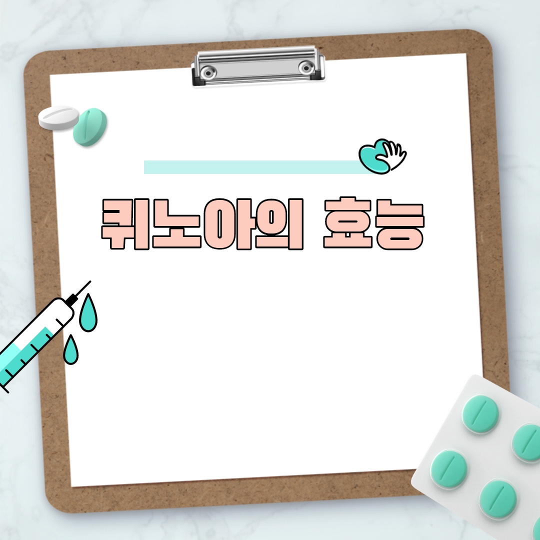  퀴노아의 효능