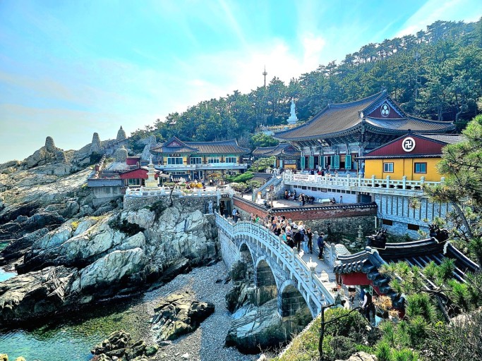 해동포차 이미지