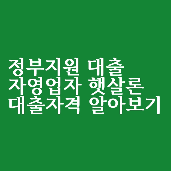  정부지원 대출 자영업자 햇살론 대출자격 알아보기
