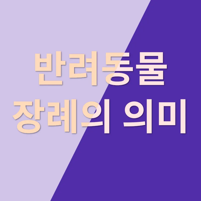 반려동물 장례_2_subsection